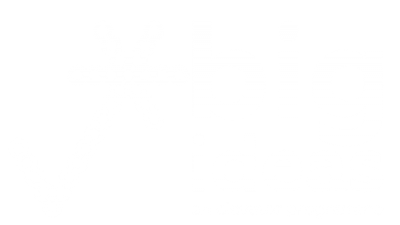 BIG IDEAS Logo Master GENERIC Full WHITE SMALL