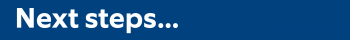 SDI Website Banner Next Steps SDI Website Banner Next Steps