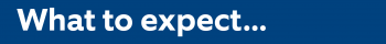 SDI Website Banner What to expect SDI Website Banner What to expect