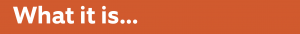 IMPACT! Programme Website Banner What is it v2