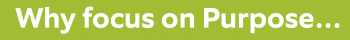 Website Banner focus on purpose